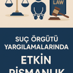 bursa ceza avukatı